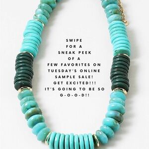 Erin McDermott Turquoise Gemstone Necklace $30